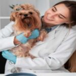 Focusing on Your Pets: Figuring out BOAS and Guaranteeing Appropriate Pet Health Care